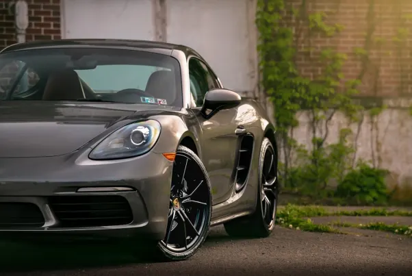 Kasino Spin Pug Android/iOS Aplikácia